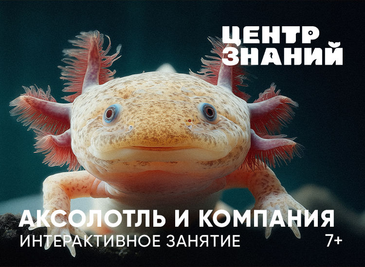 Занятия в Центре знаний Москвариума. Изображение 7