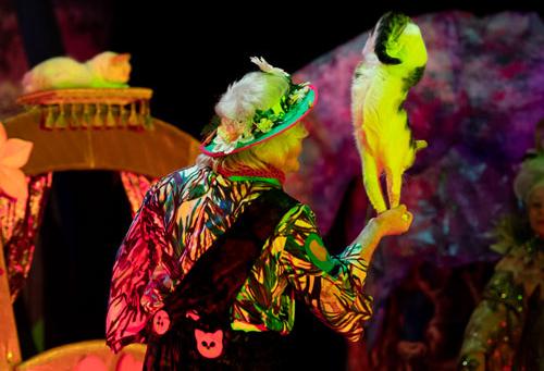 Мяугли. Юрий Куклачёв. Изображение 4