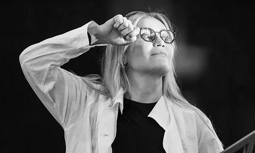 Чайка. Изображение 5