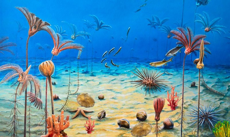 Занятие в дошкольной академии "Самые-самые". Изображение 1