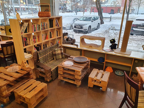 Котокафе "Мурчашка". Изображение 2