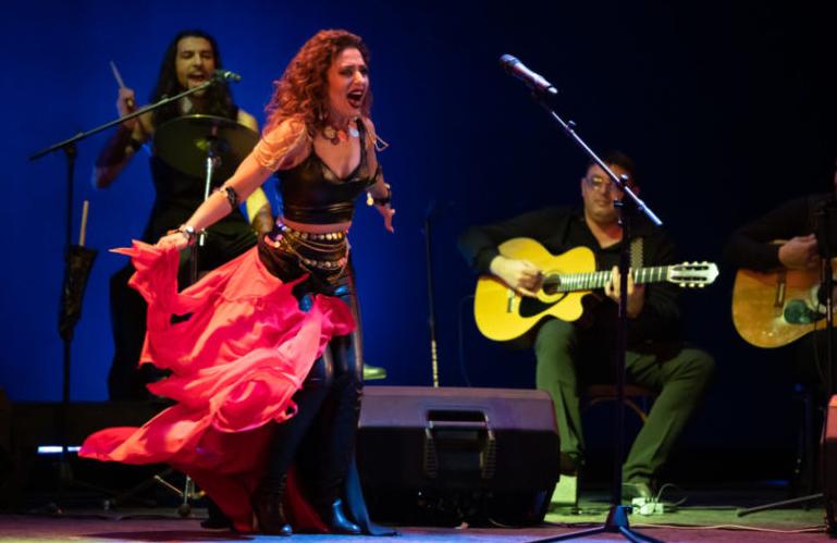 Дрома ромэн. Изображение 12