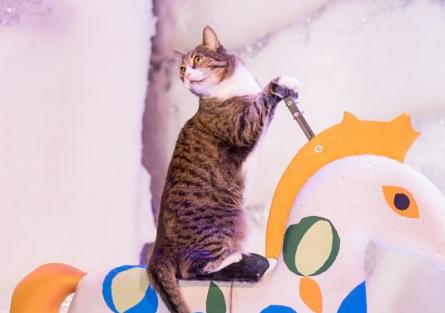 Зимняя сказка. Изображение 4