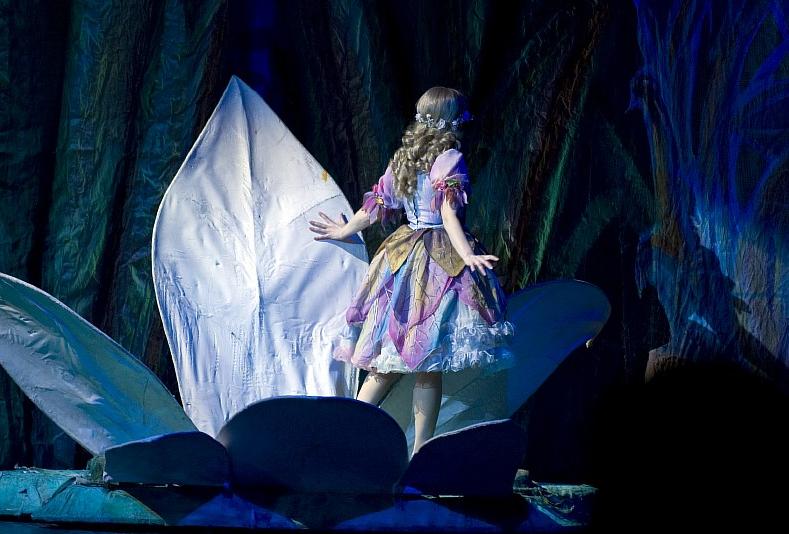 Дюймовочка (Театр им. Н.И.Сац ). Изображение 4