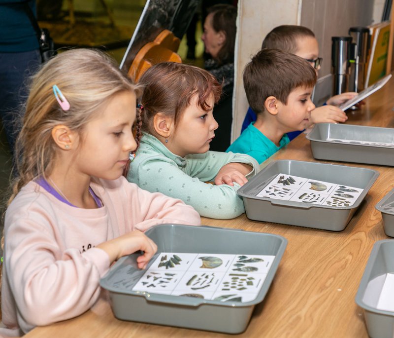 Каменная летопись нашего края. Изображение 4