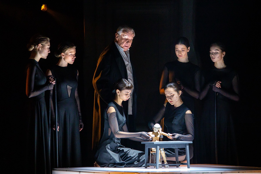 Кроткая (Малый театр). Изображение 14