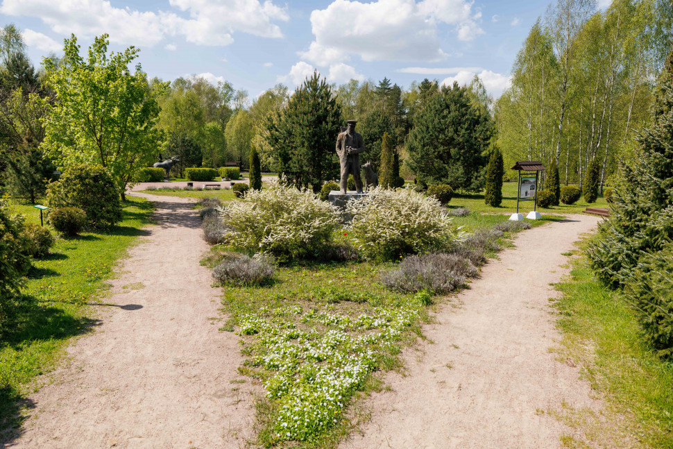 Экологическая экспозиция «Леса России». Изображение 12