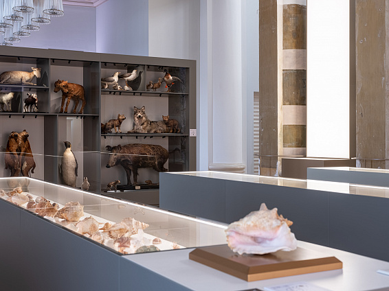 Выставка «12 признаков живого». Изображение 6