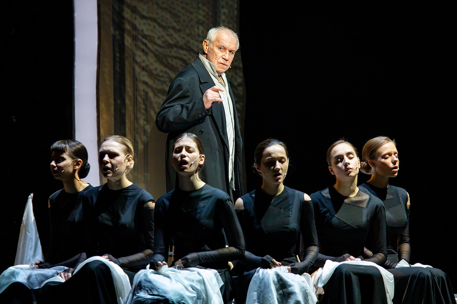 Кроткая (Малый театр). Изображение 11