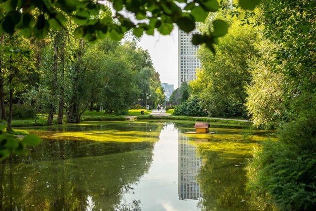 Воронцовский парк. Изображение 11