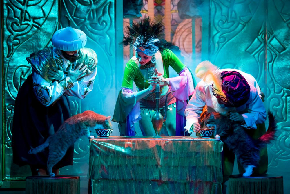 Театр кошек Куклачева. Изображение 7