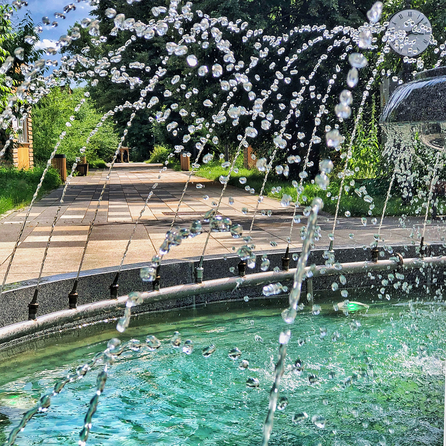 Парк "Сад будущего". Изображение 7