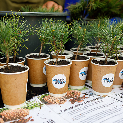 Парк Яуза. Изображение 14