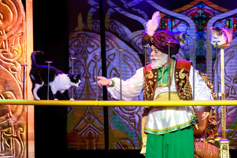 КОШКИ В ВОСТОЧНОЙ СКАЗКЕ. Изображение 9