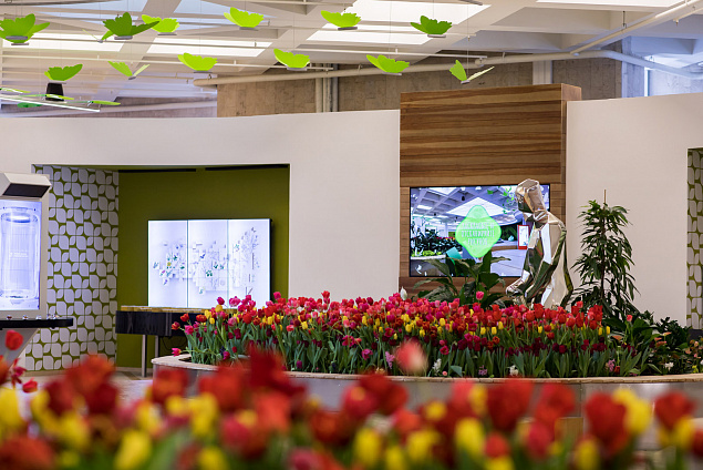 Павильон «Цветоводство и озеленение». Изображение 4