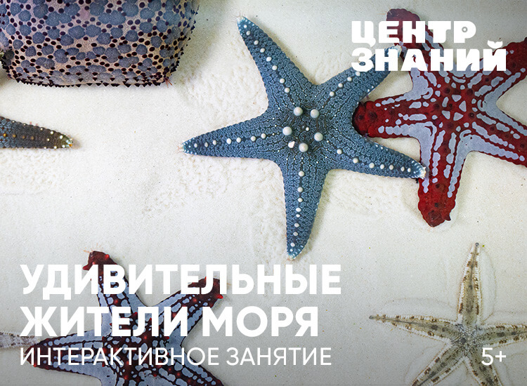 Занятия в Центре знаний Москвариума. Изображение 5