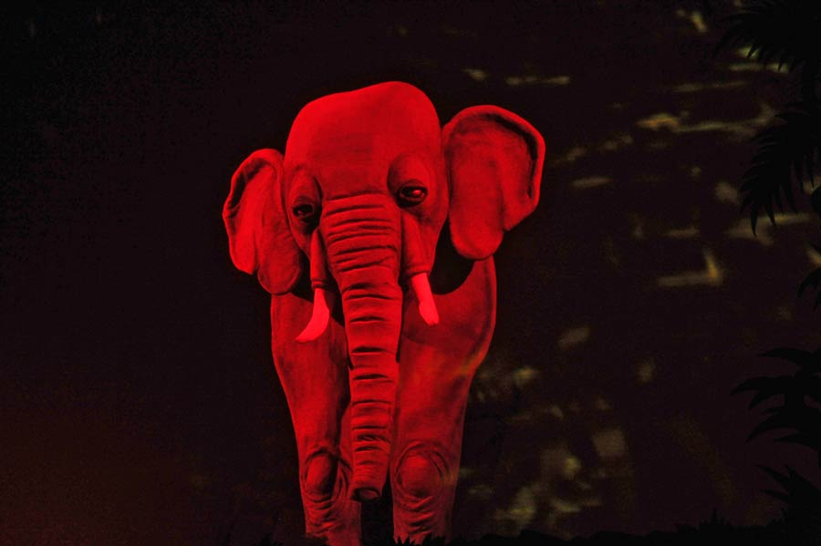  Маугли (Театр Кукол им С.В.Образцова). Изображение 6