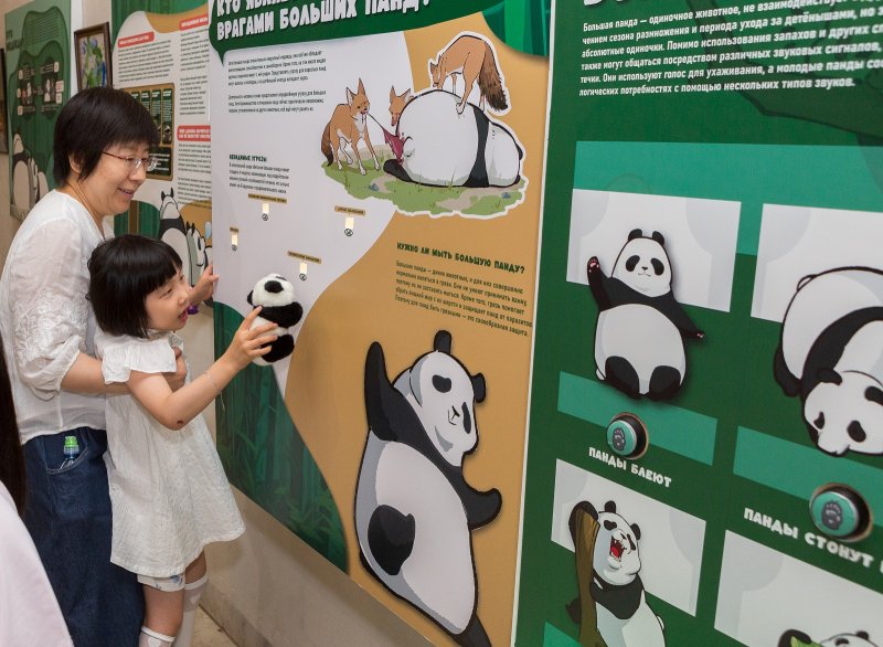 День Панды в Дарвиновском музее. Изображение 2