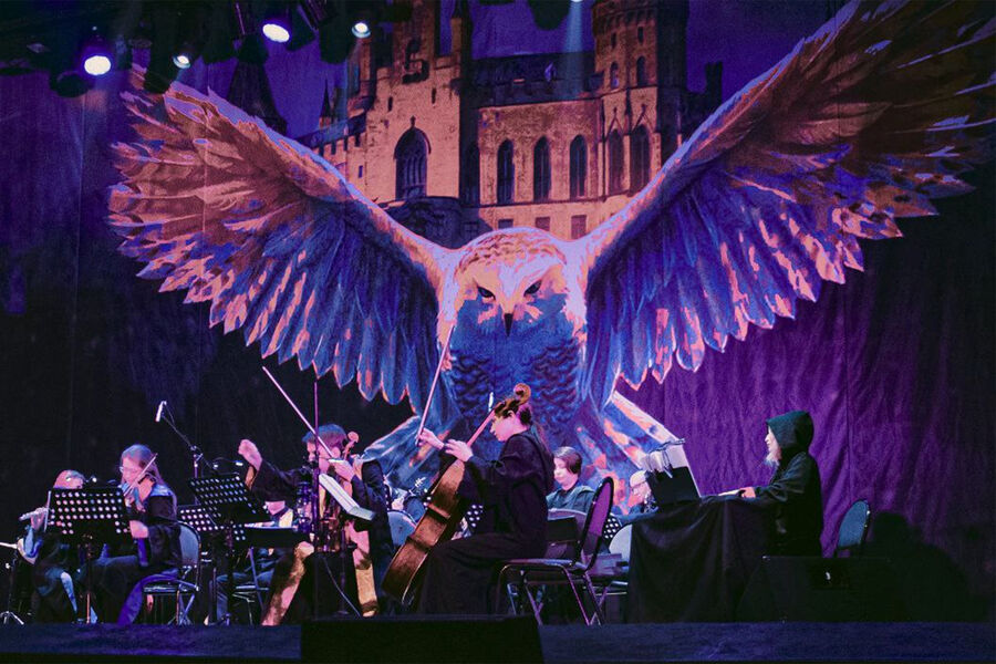 Гарри Поттер. Симфонический саундтрек. Изображение 2