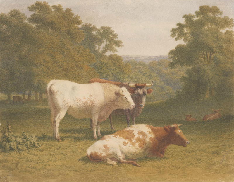 Академия акварели  и изящных искусств Сергея Андрияки. Изображение 6