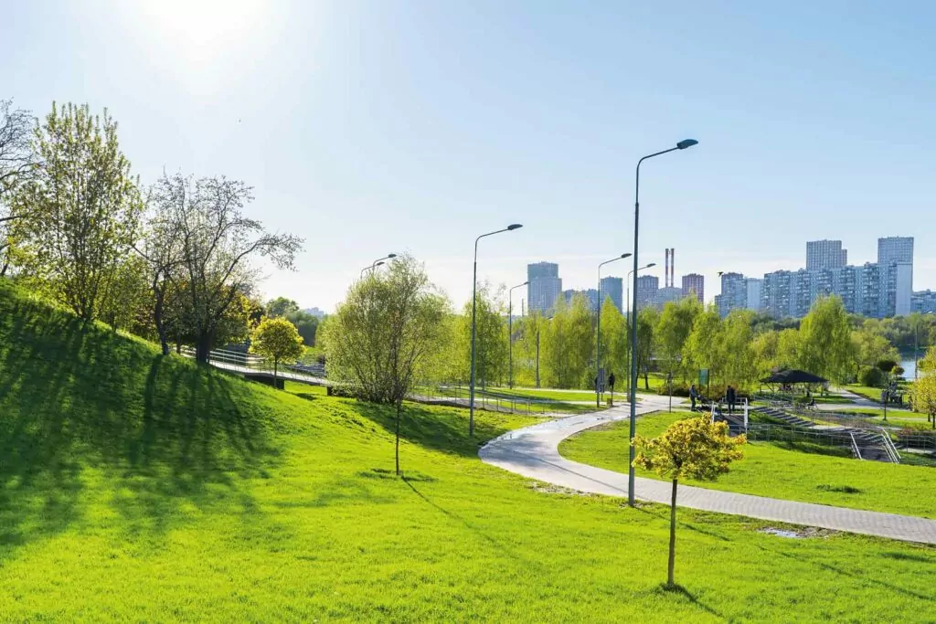 Братеевский каскадный парк. Изображение 4