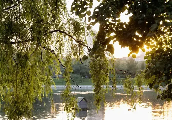 Парк Дружбы. Изображение 1