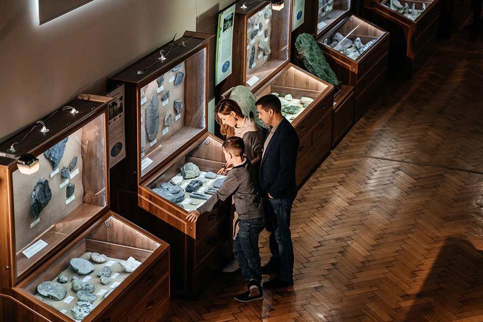 Обзорная экскурсия по Геологическому музею. Изображение 5