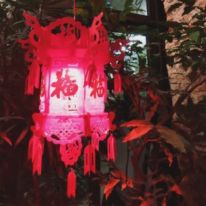 Фестиваль Китайского Нового года. Изображение 5