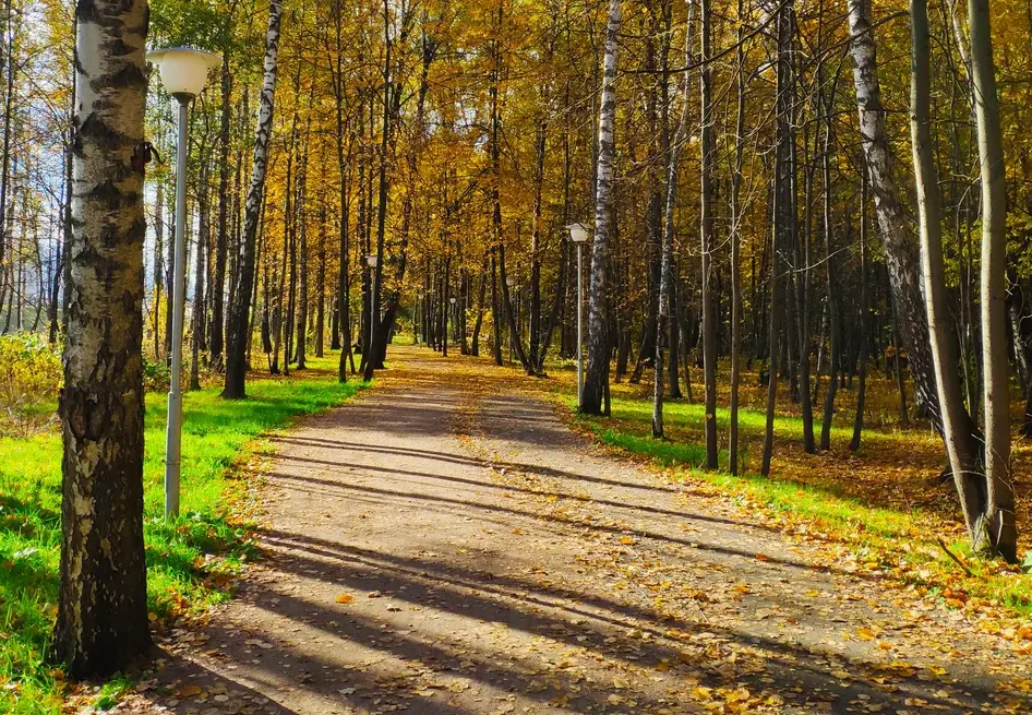 Парк "Рассказовка". Изображение 6