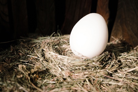 Цыпленок (Концертный зал "Филармония 2"). Изображение 3