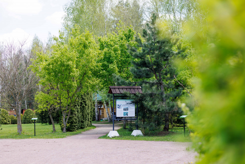 Экологическая экспозиция «Леса России». Изображение 15