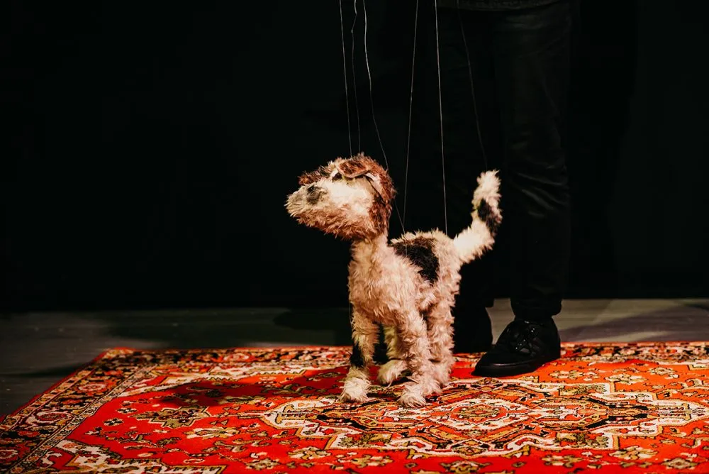 Девочка и пес. Изображение 6