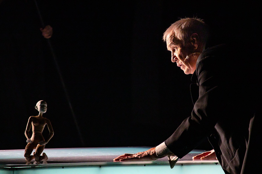 Кроткая (Малый театр). Изображение 12