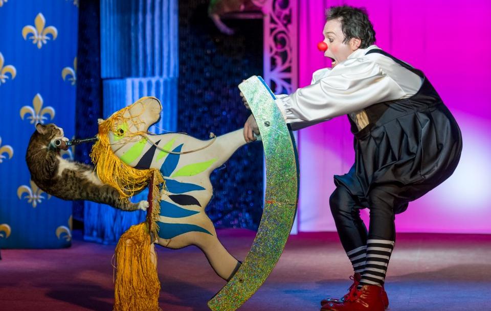 Я КЛОУН или КОТОСТРОЙКА. Изображение 3