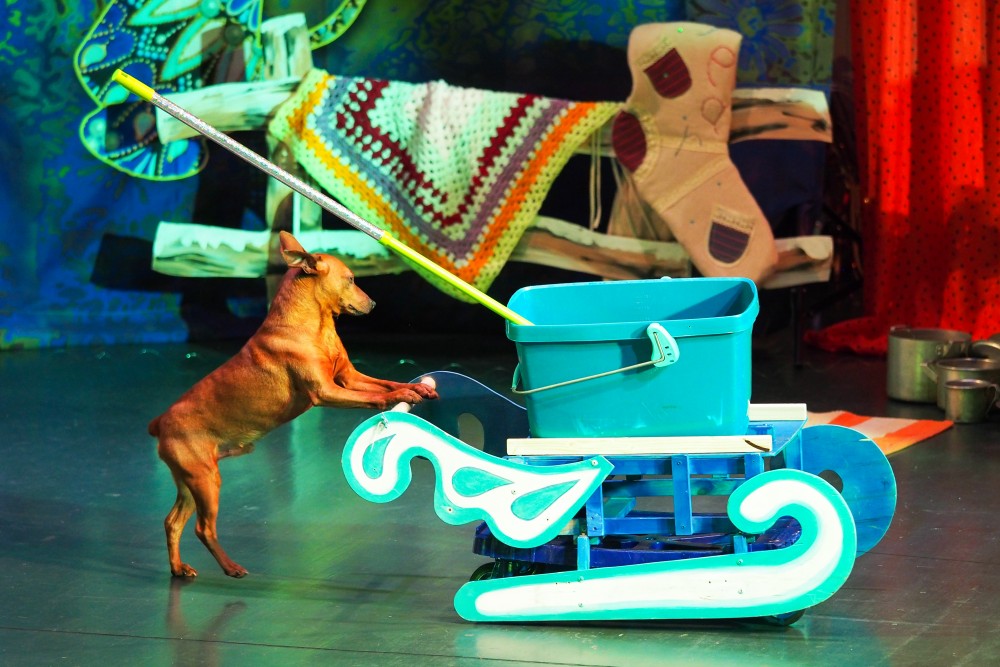 Как коты спасли Федору. Изображение 2