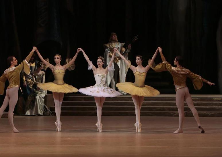 Раймонда. Изображение 8