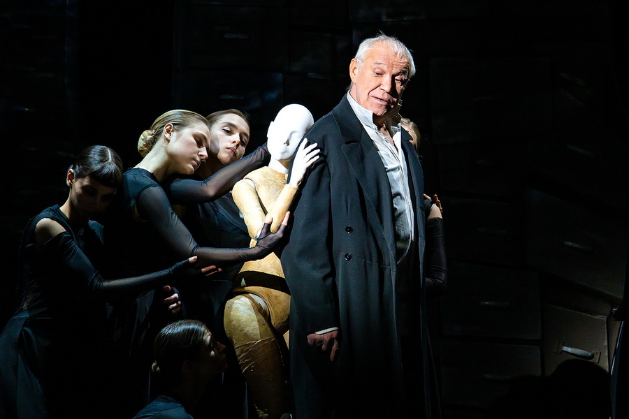 Кроткая (Малый театр). Изображение 8