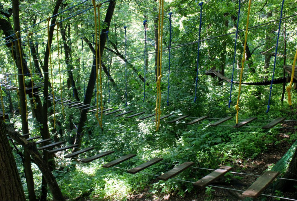 ПандаПарк Фили. Изображение 3