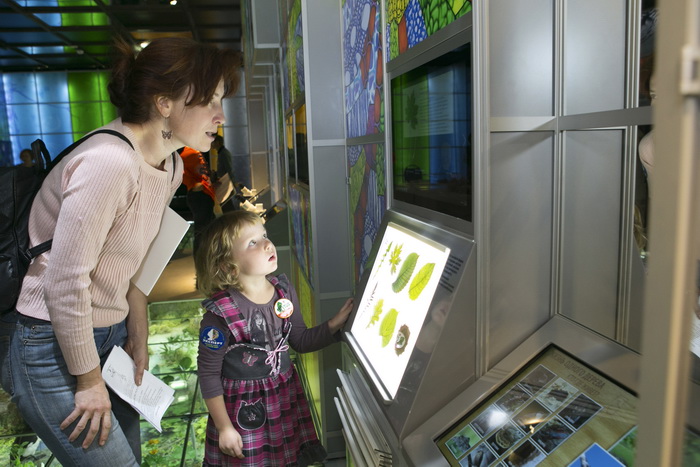 Познай себя – познай мир. Изображение 2