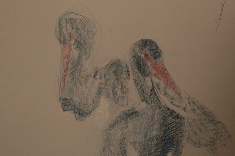 Мастер-классы на фестивале "Первозданная Россия". Изображение 3