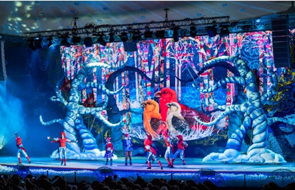 Новая звезда. Ёлка в Храме Христа Спасителя. Изображение 4