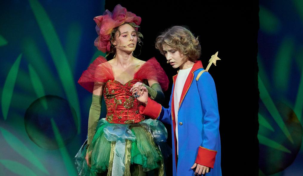 Маленький принц (Московский театр Музыки и Драмы Стаса Намина). Изображение 4