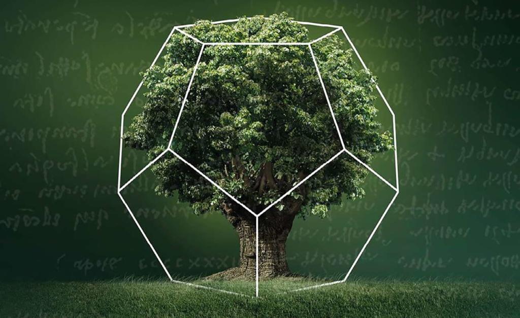 Лето в Экспериментаниуме. Изображение 3