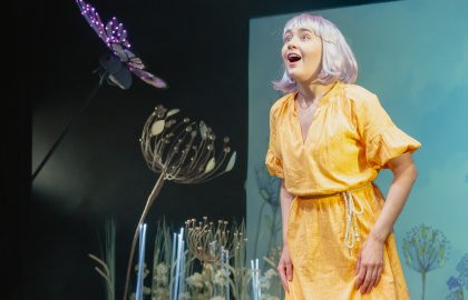 Дюймовочка. Изображение 1