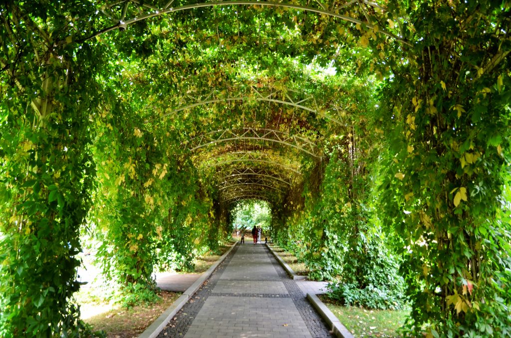 Сад им. Баумана. Изображение 9