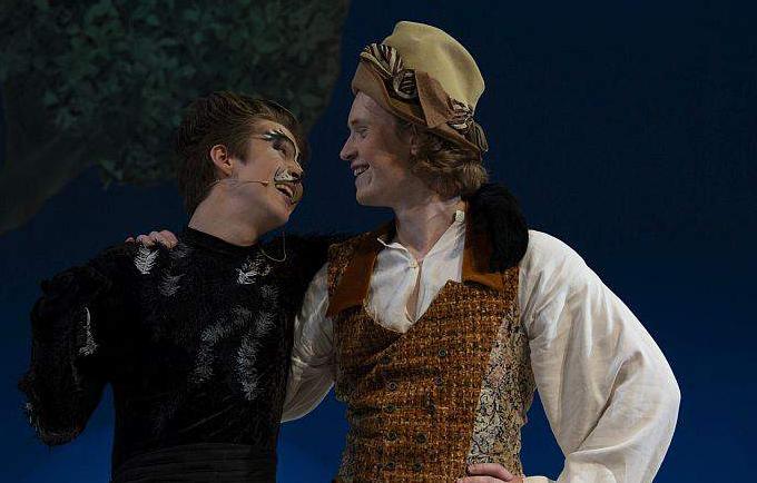 Кот в сапогах. Изображение 1