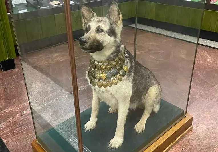 Центральный пограничный музей ФСБ России. Изображение 6