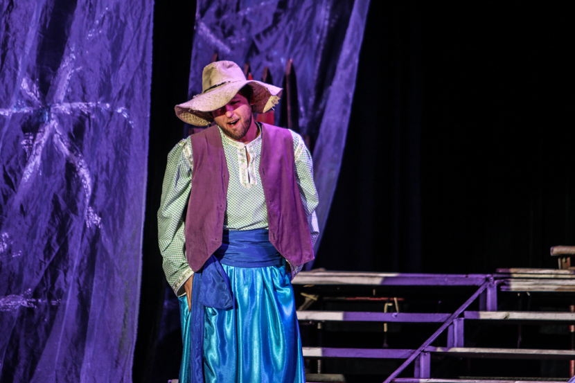 Вечера на хуторе близ.... Изображение 1