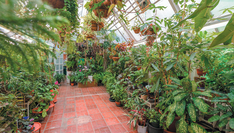 Биологический музей им. К.А. Тимирязева. Изображение 21