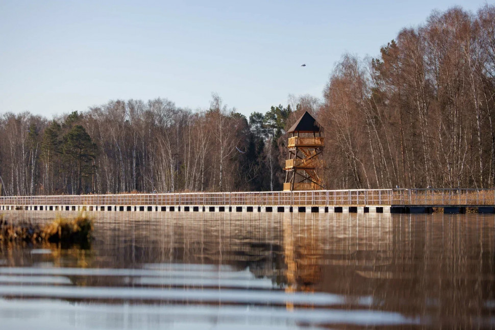Орнитологическая экскурсия по понтонной экотропе. Изображение 4